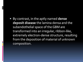  By contrast, in the aptly named dense
deposit disease the lamina densa and the
subendothelial space of the GBM are
transformed into an irregular, ribbon-like,
extremely electron-dense structure, resulting
from the deposition of material of unknown
composition.
 