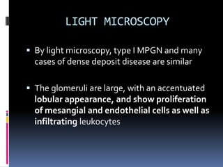 LIGHT MICROSCOPY
 By light microscopy, type I MPGN and many
cases of dense deposit disease are similar
 The glomeruli are large, with an accentuated
lobular appearance, and show proliferation
of mesangial and endothelial cells as well as
infiltrating leukocytes
 