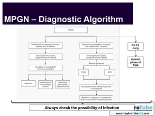 Membranoproliferative GN - Road to Diagnosis & Management - What is the ...
