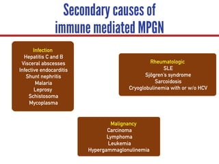 Secondary causes of
immune mediated MPGN
Infection
Hepatitis C and B
Visceral abscesses
Infective endocarditis
Shunt nephritis
Malaria
Leprosy
Schistosoma
Mycoplasma
Malignancy
Carcinoma
Lymphoma
Leukemia
Hypergammaglonulinemia
Rheumatologic
SLE
Sjögren’s syndrome
Sarcoidosis
Cryoglobulinemia with or w/o HCV
 