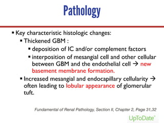 Pathology
§ Key characteristic histologic changes:
§ Thickened GBM :
§ deposition of IC and/or complement factors
§ interposition of mesangial cell and other cellular
between GBM and the endothelial cell à new
basement membrane formation.
§ Increased mesangial and endocapillary cellularity à
often leading to lobular appearance of glomerular
tuft.
Fundamental of Renal Pathology, Section II, Chapter 2, Page 31,32
 