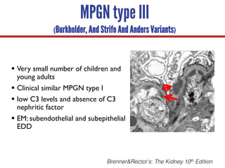 § Very small number of children and
young adults
§ Clinical similar MPGN type I
§ low C3 levels and absence of C3
nephritic factor
§ EM: subendothelial and subepithelial
EDD
Brenner&Rector’s: The Kidney 10th Edition
MPGN type III
(Burkholder, And Strife And Anders Variants)
 
