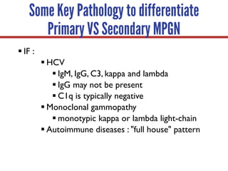 Some Key Pathology to differentiate
Primary VS Secondary MPGN
§ IF :
§ HCV
§ IgM, IgG, C3, kappa and lambda
§ IgG may not be present
§ C1q is typically negative
§ Monoclonal gammopathy
§ monotypic kappa or lambda light-chain
§ Autoimmune diseases : "full house" pattern
 