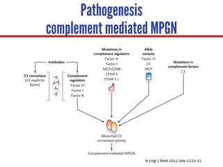 N	Engl J	Med	2012;366:1119-31.	
Pathogenesis
complement mediated MPGN
 