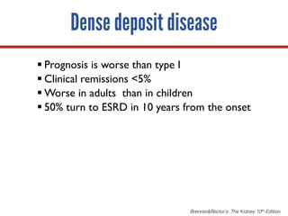 Dense deposit disease
§ Prognosis is worse than type I
§ Clinical remissions <5%
§ Worse in adults than in children
§ 50% turn to ESRD in 10 years from the onset
Brenner&Rector’s: The Kidney 10th Edition
 