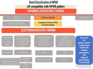 Novel Classificationof MPGN
IMMUNOFLUORESCENCE FINDING
IgG + C3
± IgM , C1q
C3 alone or dominant
Immune mediated MPGN
Complement mediated MPGN
(C3 Glomerulopathy)
ELECTROMICROSCOPE FINDING
Subendothel
ail +
Mesangail
deposit
Highly EDD
intramembranous
(Lamina densa) and
mesangial ± Bowman c,
MPGN type 1
Subendothelail and
Mesangail deposit
± Subepithelial or
Intramembranous
deposit
MPGN type 3 DDD
EDD subendothelial /
mesangial ±
subepithelium ,
Bowman c,TBM
C3 GN
Burkholder
Variant
Strife
Variant
W/U 2nd cause : Chr
infection , autoimmune ,
monoclonal gammopathy
Familial form C3 GN
Adapted from N Engl J Med 2012;366:1119-31
Kidney International (2016) 89, 278–288.
Nat. Rev. Nephrol. 11, 14–22 (2015)
LM compatible with MPGN pattern
No IgG, No C3
Chronic TMA
APS
Radiation nephritis
Paraproteinemia
(Fibrillary GN)
Transplant
glomerulopathy
PIGN
Collagen III
glomerlulopathy
C1Q nephropathy
C3 Nef
 