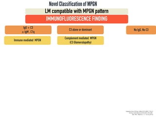 Novel Classificationof MPGN
IMMUNOFLUORESCENCE FINDING
IgG + C3
± IgM , C1q
C3 alone or dominant
Immune mediated MPGN
Complement mediated MPGN
(C3 Glomerulopathy)
Adapted from N Engl J Med 2012;366:1119-31
Kidney International (2016) 89, 278–288.
Nat. Rev. Nephrol. 11, 14–22 (2015)
LM compatible with MPGN pattern
No IgG, No C3
 