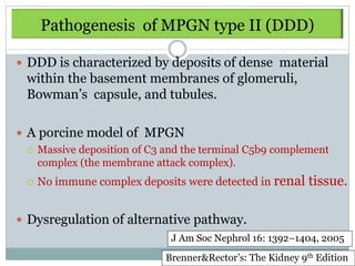 Pathogenesis of MPGN type II (DDD)

 DDD is characterized by deposits of dense material
  within the basement membranes of glomeruli,
  Bowman’s capsule, and tubules.

 A porcine model of MPGN
   Massive deposition of C3 and the terminal C5b9 complement
    complex (the membrane attack complex).
     No immune complex deposits were detected in renal tissue.


 Dysregulation of alternative pathway.
                              J Am Soc Nephrol 16: 1392–1404, 2005
                             Brenner&Rector’s: The Kidney 9th Edition
 