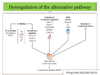 Dysregulation of the alternative pathway
 