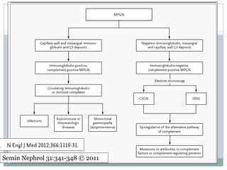 Semin Nephrol 31:341-348 © 2011
 