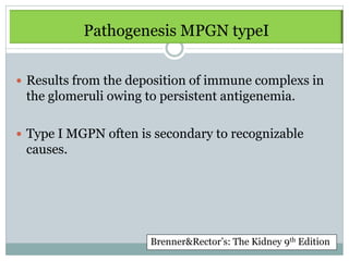 IMMUNE-COMPLEX-MEDIATED MPGN
      Pathogenesis MPGN typeI


 Results from the deposition of immune complexs in
 the glomeruli owing to persistent antigenemia.

 Type I MGPN often is secondary to recognizable
 causes.




                      Brenner&Rector’s: The Kidney 9th Edition
 