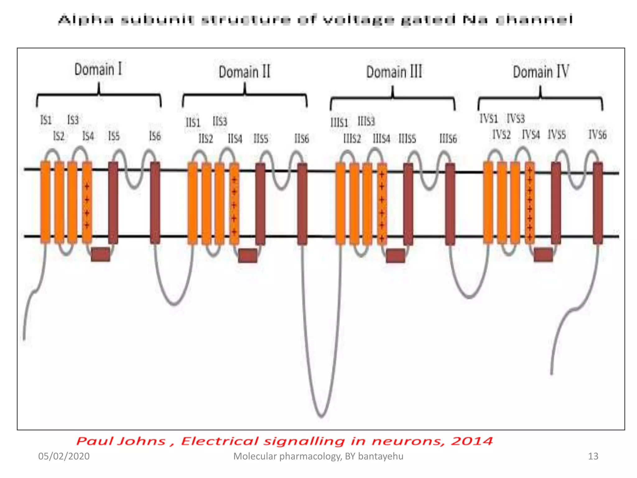 voltage gated ion channel | PPTX