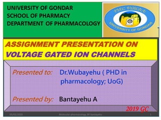 05/02/2020 Molecular pharmacology, BY bantayehu 1
Presented to: Dr.Wubayehu ( PHD in
pharmacology; UoG)
Presented by: Bantayehu A
2019 GC
ASSIGNMENT PRESENTATION ON
VOLTAGE GATED ION CHANNELS
 