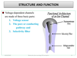 STRUCTURE AND FUNCTION
Voltage-dependent channels
are made of three basic parts:
1. Voltage sensor
2. The pore or conducting
pathway and
3. Selectivity filter
05/02/2020 Molecular pharmacology, BY bantayehu 11
 
