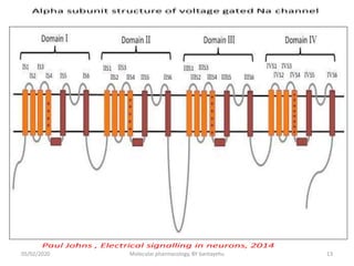 05/02/2020 Molecular pharmacology, BY bantayehu 13
 