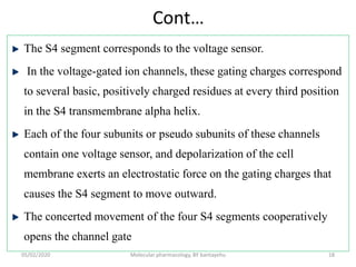 Cont…
The S4 segment corresponds to the voltage sensor.
In the voltage-gated ion channels, these gating charges correspond
to several basic, positively charged residues at every third position
in the S4 transmembrane alpha helix.
Each of the four subunits or pseudo subunits of these channels
contain one voltage sensor, and depolarization of the cell
membrane exerts an electrostatic force on the gating charges that
causes the S4 segment to move outward.
The concerted movement of the four S4 segments cooperatively
opens the channel gate
05/02/2020 Molecular pharmacology, BY bantayehu 18
 