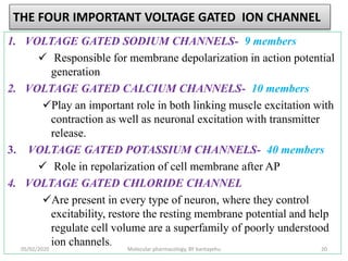 THE FOUR IMPORTANT VOLTAGE GATED ION CHANNEL
1. VOLTAGE GATED SODIUM CHANNELS- 9 members
 Responsible for membrane depolarization in action potential
generation
2. VOLTAGE GATED CALCIUM CHANNELS- 10 members
Play an important role in both linking muscle excitation with
contraction as well as neuronal excitation with transmitter
release.
3. VOLTAGE GATED POTASSIUM CHANNELS- 40 members
 Role in repolarization of cell membrane after AP
4. VOLTAGE GATED CHLORIDE CHANNEL
Are present in every type of neuron, where they control
excitability, restore the resting membrane potential and help
regulate cell volume are a superfamily of poorly understood
ion channels.
05/02/2020 Molecular pharmacology, BY bantayehu 20
 