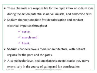 05/02/2020 Molecular pharmacology, BY bantayehu 22
 These channels are responsible for the rapid influx of sodium ions
during the action potential in nerve, muscle, and endocrine cells.
 Sodium channels mediate fast depolarization and conduct
electrical impulses throughout
 nerve,
 muscle and
 heart.
 Sodium channels have a modular architecture, with distinct
regions for the pore and the gates.
 At a molecular level, sodium channels are not static: they move
extensively in the course of gating and ion translocation
 
