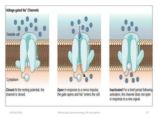 con
05/02/2020 Molecular pharmacology, BY bantayehu 27
 