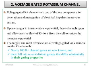 2. VOLTAGE GATED POTASSIUM CHANNEL
Voltage-gated K+ channels are one of the key components in
generation and propagation of electrical impulses in nervous
system.
Upon changes in transmembrane potential, these channels open
and allow passive flow of K+ ions from the cell to restore the
membrane potential
The largest and most diverse class of voltage-gated ion channels
are the K+ channels .
 Nearly 100 K+ channel genes are now known, and
 these fall into several distinct groups that differ substantially
in their gating properties
05/02/2020 Molecular pharmacology, BY bantayehu 30
 