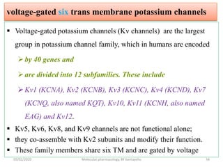 voltage-gated six trans membrane potassium channels
 Voltage-gated potassium channels (Kv channels) are the largest
group in potassium channel family, which in humans are encoded
by 40 genes and
are divided into 12 subfamilies. These include
Kv1 (KCNA), Kv2 (KCNB), Kv3 (KCNC), Kv4 (KCND), Kv7
(KCNQ, also named KQT), Kv10, Kv11 (KCNH, also named
EAG) and Kv12.
 Kv5, Kv6, Kv8, and Kv9 channels are not functional alone;
 they co-assemble with Kv2 subunits and modify their function.
 These family members share six TM and are gated by voltage
05/02/2020 Molecular pharmacology, BY bantayehu 34
 