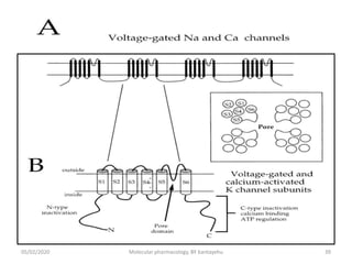 05/02/2020 Molecular pharmacology, BY bantayehu 39
 
