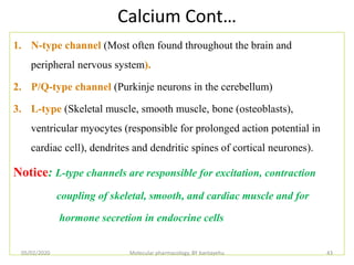 Calcium Cont…
1. N-type channel (Most often found throughout the brain and
peripheral nervous system).
2. P/Q-type channel (Purkinje neurons in the cerebellum)
3. L-type (Skeletal muscle, smooth muscle, bone (osteoblasts),
ventricular myocytes (responsible for prolonged action potential in
cardiac cell), dendrites and dendritic spines of cortical neurones).
Notice: L-type channels are responsible for excitation, contraction
coupling of skeletal, smooth, and cardiac muscle and for
hormone secretion in endocrine cells
05/02/2020 Molecular pharmacology, BY bantayehu 43
 