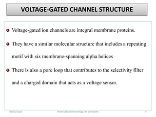 VOLTAGE-GATED CHANNEL STRUCTURE
Voltage-gated ion channels are integral membrane proteins.
They have a similar molecular structure that includes a repeating
motif with six membrane-spanning alpha helices
There is also a pore loop that contributes to the selectivity filter
and a charged domain that acts as a voltage sensor.
05/02/2020 Molecular pharmacology, BY bantayehu 9
 
