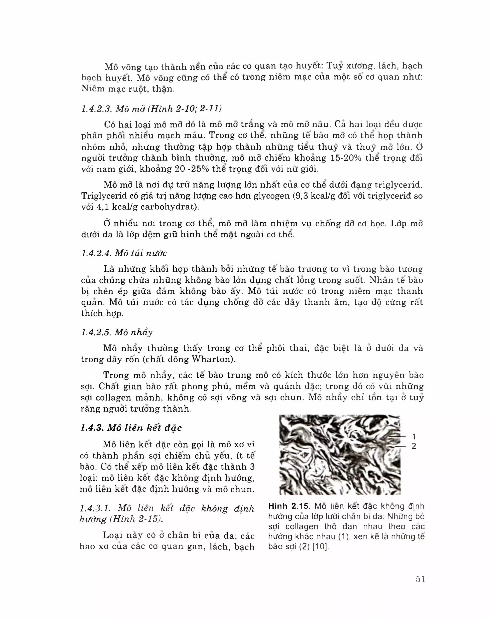 Mô phôi phần mô học byt | PDF