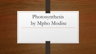 Photosynthesis
by Mpho Modise

 