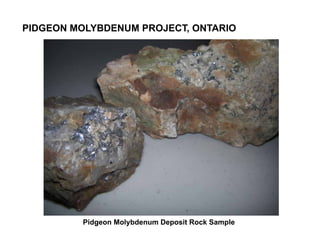 PIDGEON MOLYBDENUM PROJECT, ONTARIO




         Pidgeon Molybdenum Deposit Rock Sample
 