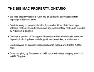 THE BIG MAC PROPERTY, ONTARIO

     • Big Mac property located 70km NE of Sudbury; easy access from
       highways #539 and #805

     • Gold showing on property hosted by small outliner of Archean age
       volcanic rocks overlain by Huronian age sedimentary rocks and intruded
       by Nippissing diabase

     • Outliner is portion of Temagami Greenstone belt which hosts variety of
       deposits including base metals, gold, copper-nickel, and diamonds

     • Gold showing on property described as 67 m long and 0.30 to 1.50 m
       wide

     • Grab sampling by Anderson in 1998 returned values ranging from 1.42
       to 664.80 g/t Au


21
 