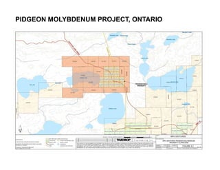 PIDGEON MOLYBDENUM PROJECT, ONTARIO
 