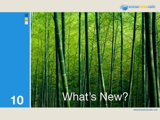 10   What’s New?
 