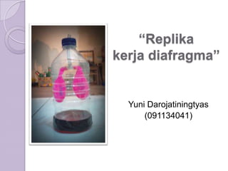 “Replika
kerja diafragma”


  Yuni Darojatiningtyas
      (091134041)
 