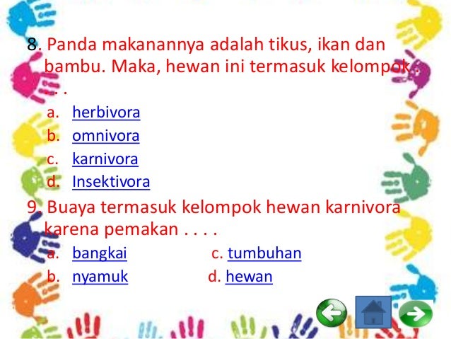 680+ Gambar Hewan Berikut Termasuk Kelompok Insektivora Karena Pemakan Gratis Terbaru