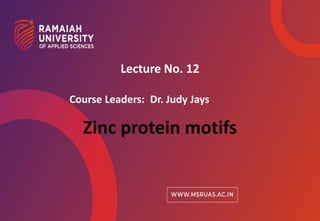 1
© Ramaiah University of Applied Sciences
1
Lecture No. 12
Zinc protein motifs
Course Leaders: Dr. Judy Jays
 