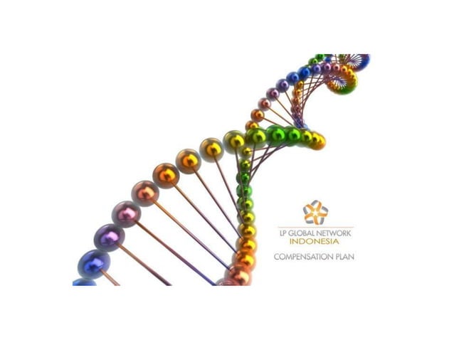 Marketing Plan LPGN | PPT | Free Download