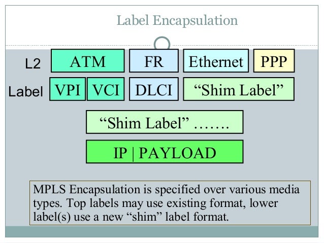 multiprotocol label switching mpls mpls label format