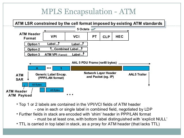 multiprotocol label switching mpls mpls label format