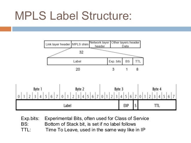 mpls mpls label format
