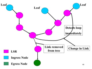 46
Detects loop
immediately
Leaf
Leaf
Leaf
LSR
Ingress Node
Egress Node
Change in LinkLink removed
from tree
 