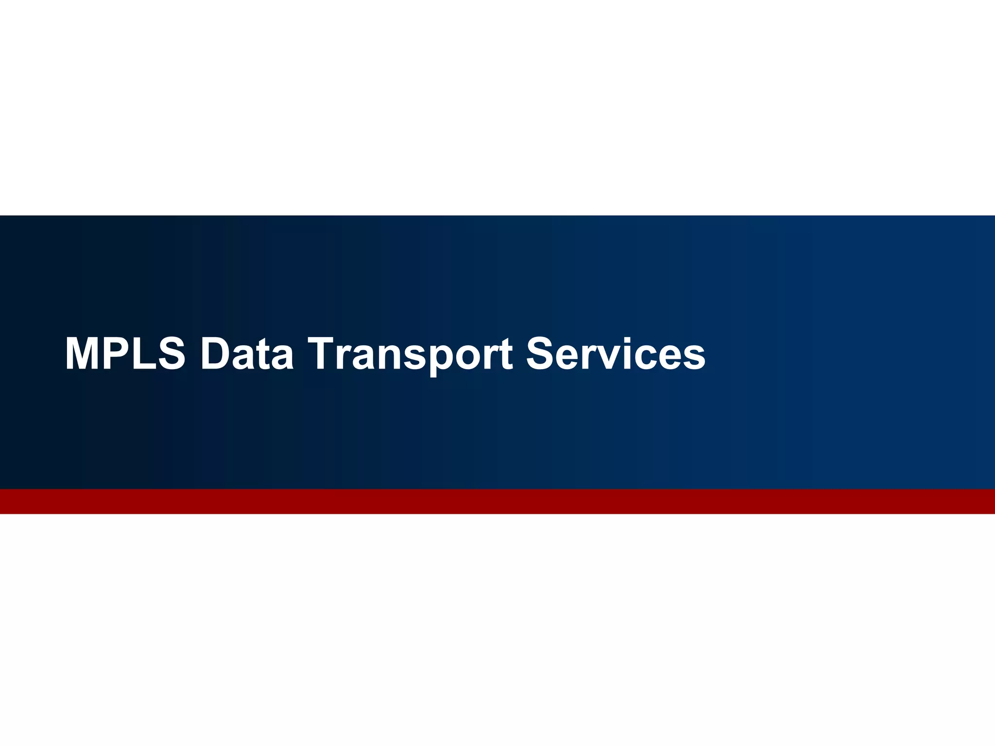 MPLS Data Transport Services
28
 