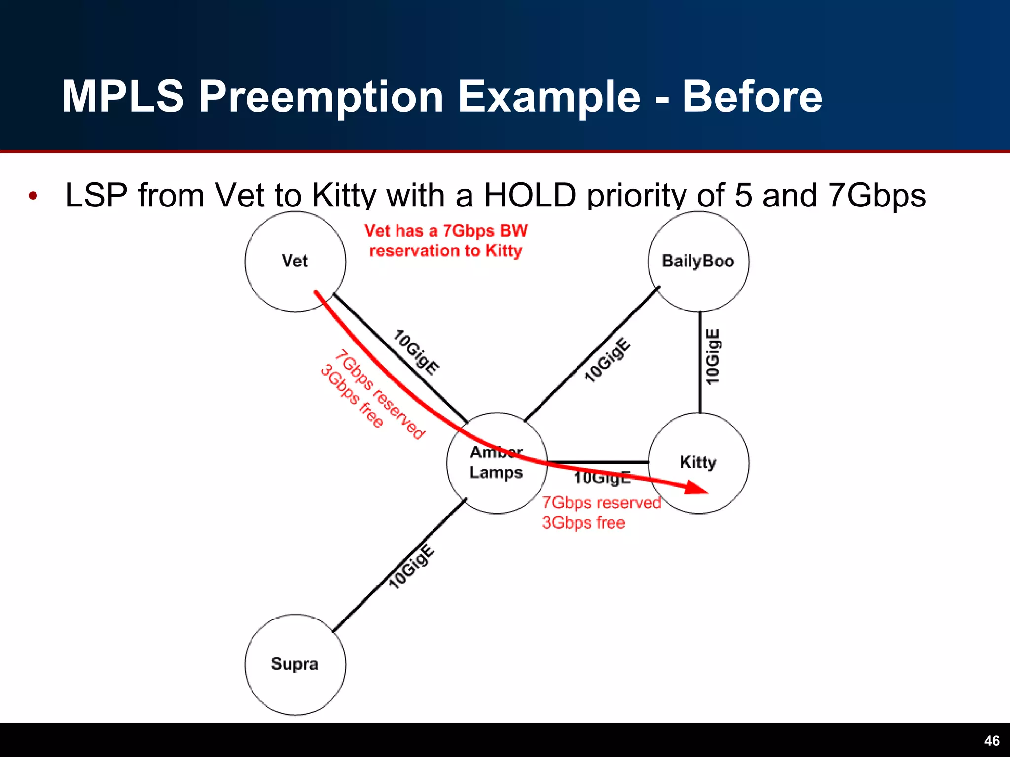 MPLS Preemption Example - Before
• LSP from Vet to Kitty with a HOLD priority of 5 and 7Gbps
46
 