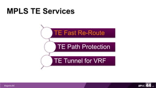 MPLS TE Services
TE Fast Re-Route
TE Path Protection
TE Tunnel for VRF
45
 