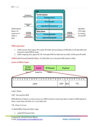Mpls basic | PDF