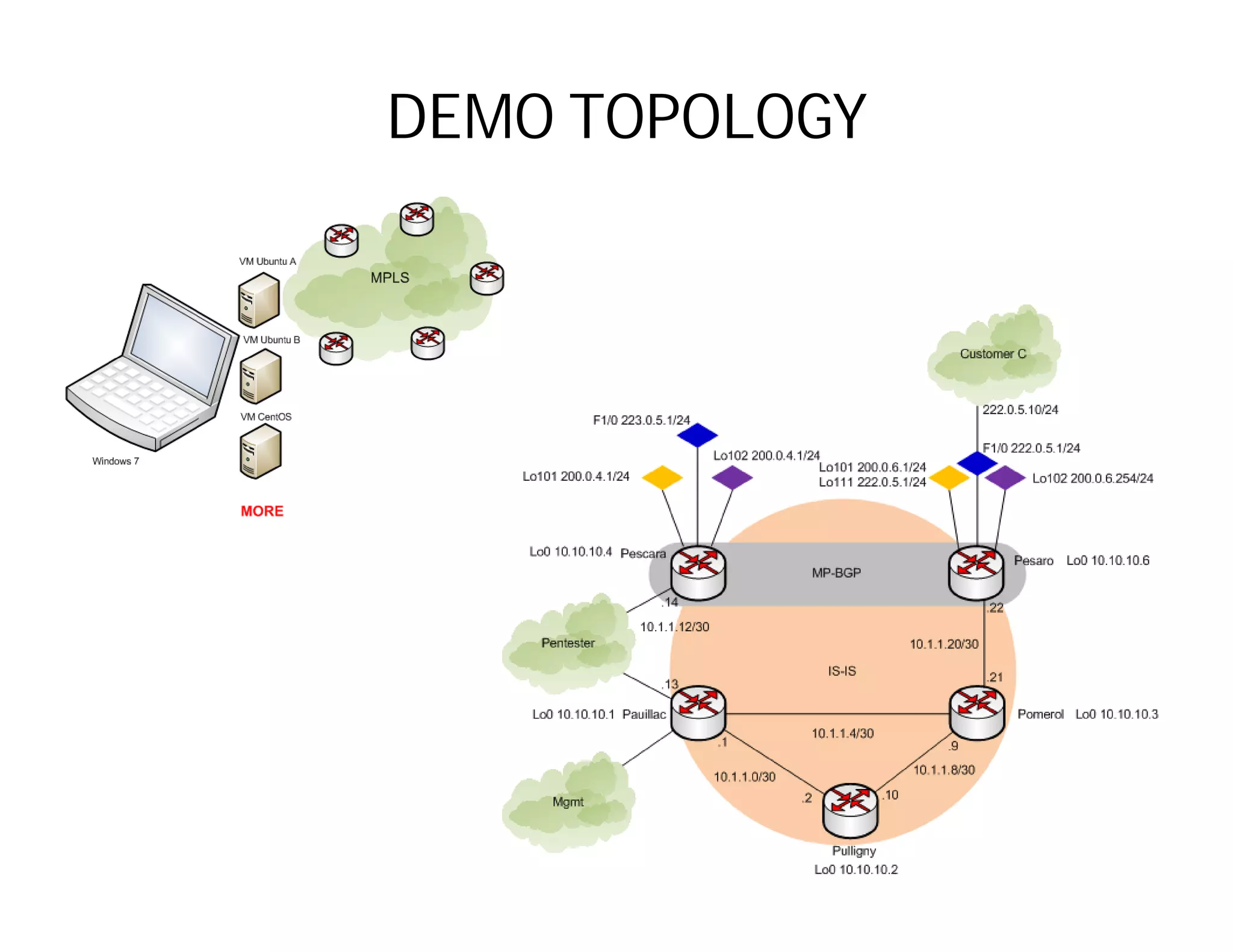 DEMO TOPOLOGY
 