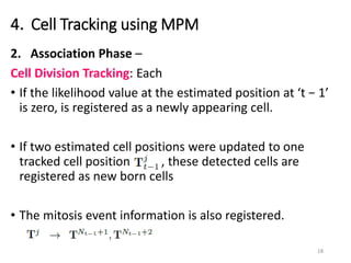 4．Cell Tracking using MPM
18
2. Association Phase –
Cell Division Tracking: Each
• If the likelihood value at the estimated position at ‘t − 1’
is zero, is registered as a newly appearing cell.
• If two estimated cell positions were updated to one
tracked cell position , these detected cells are
registered as new born cells
• The mitosis event information is also registered.
 