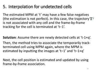 5．Interpolation for undetected cells
19
The estimated MPM at ‘t’ may have a few false negatives
(the estimation is not perfect). In this case, the trajectory
is not associated with any cell and the frame-by-frame
tracking for the cell is terminated at ‘t−1’.
Solution: Assume there are newly detected cells at ‘t-1+q’.
Then, the method tries to associate the temporarily track-
terminated cell using MPM again, where the MPM is
estimated by inputting the images at ‘t−1’ and ‘t−1+q’
Next, the cell position is estimated and updated by using
frame-by-frame association.
 