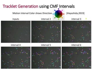 Tracklet Generation using CMF Intervals
9
Motion Interval Color shows Direction. [Hayashida,2019]
 
